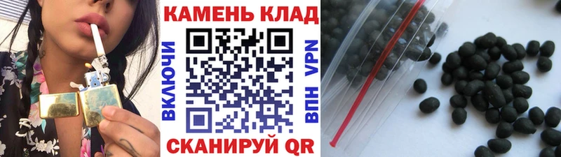 купить Ленинск-Кузнецкий ГАШ Изолятор