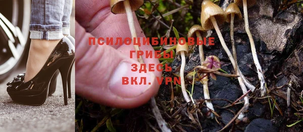 первитин Алексеевка