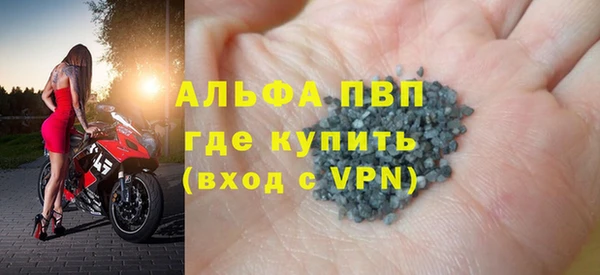 стаф Аркадак
