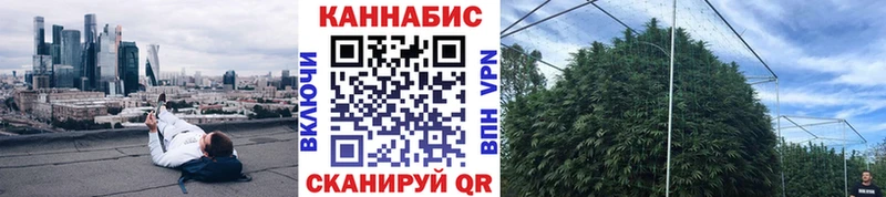 Бошки Шишки VHQ Ленинск-Кузнецкий